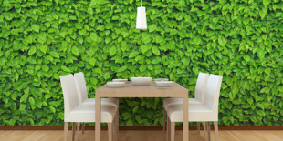 壁紙プラスのイメージ